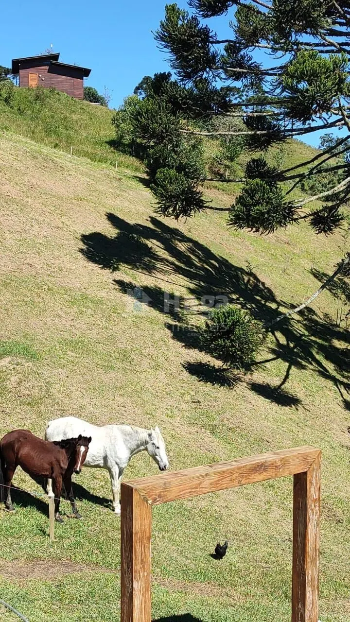 Fazenda à venda de 2 ha em Alfredo Wagner, SC, Brasil