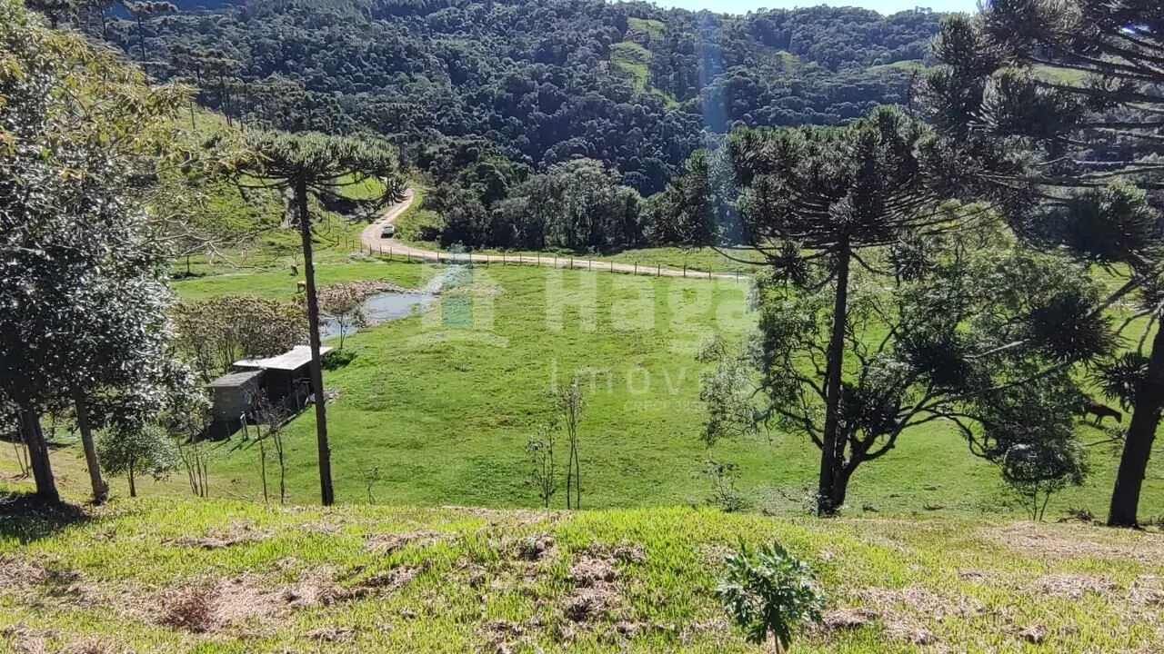 Fazenda à venda de 2 ha em Alfredo Wagner, SC, Brasil