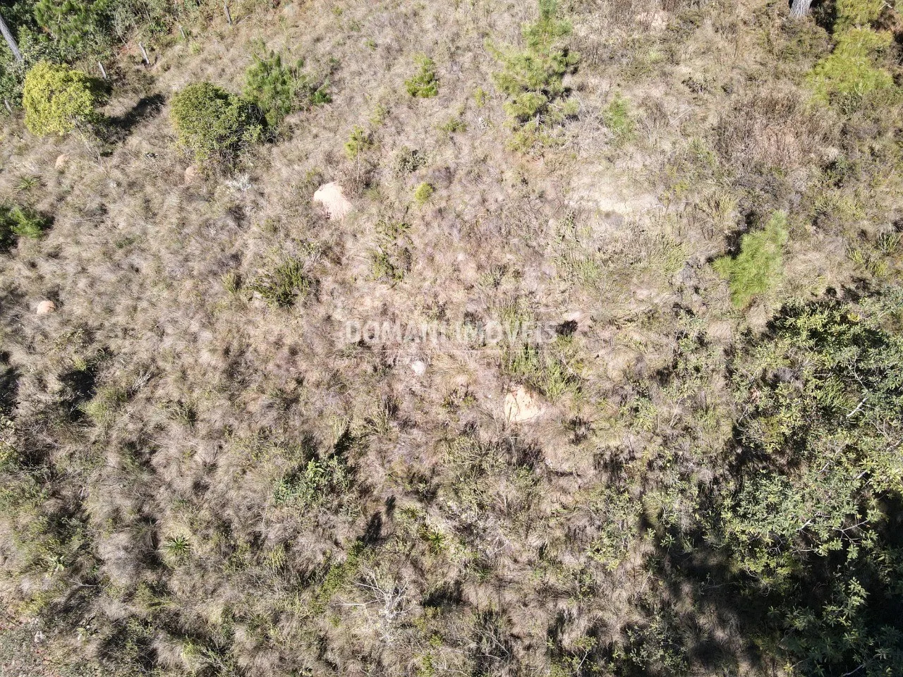 Terreno à venda de 1.470 m² em Campos do Jordão, SP, Brasil
