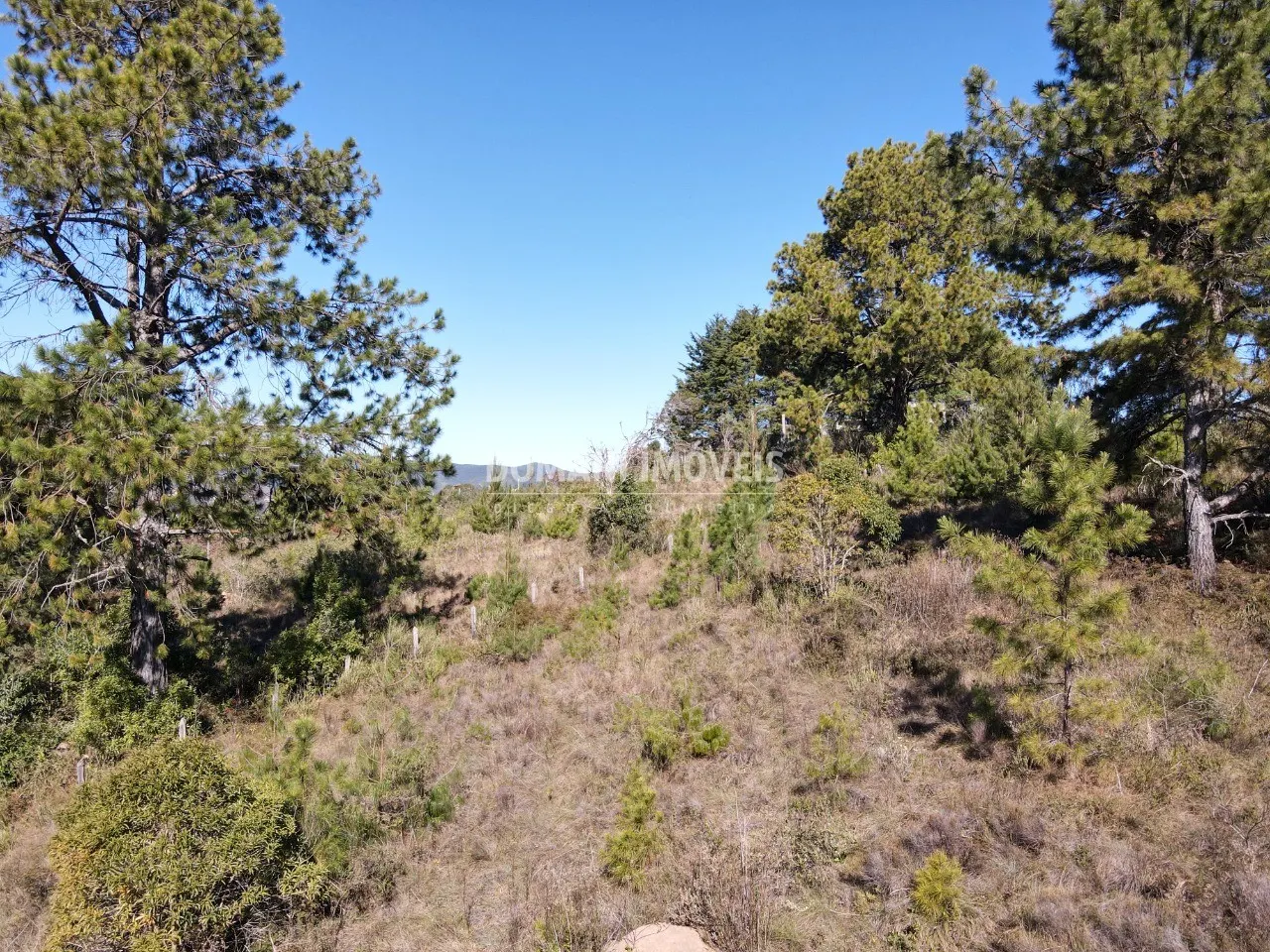 Terreno à venda de 1.470 m² em Campos do Jordão, SP, Brasil