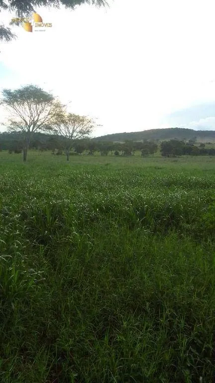 Fazenda à venda de 200 ha em Juscimeira, MT, Brasil