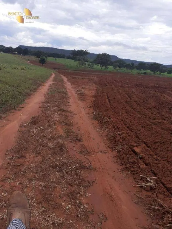 Fazenda à venda de 200 ha em Juscimeira, MT, Brasil