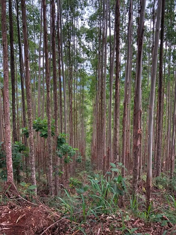 Terreno à venda de 19 ha em São José dos Campos, SP, Brasil