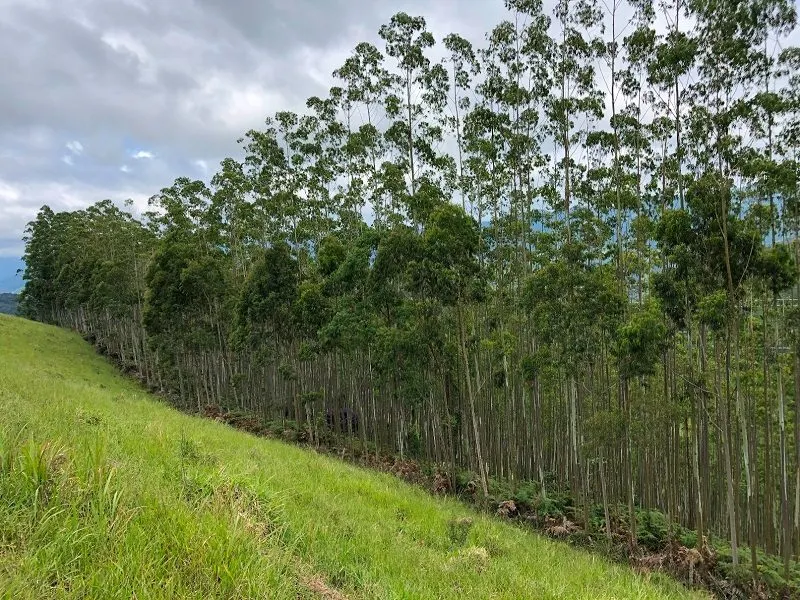 Terreno à venda de 19 ha em São José dos Campos, SP, Brasil