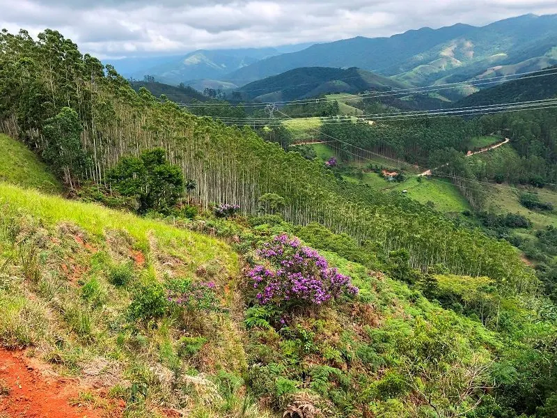 Terreno à venda de 19 ha em São José dos Campos, SP, Brasil