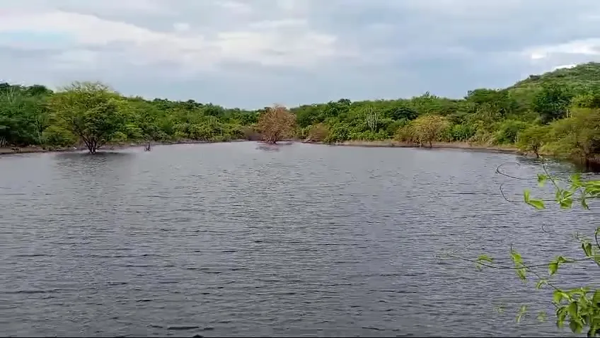Fazenda para Arrendar de 1.000 ha em Tauá, CE, Brasil