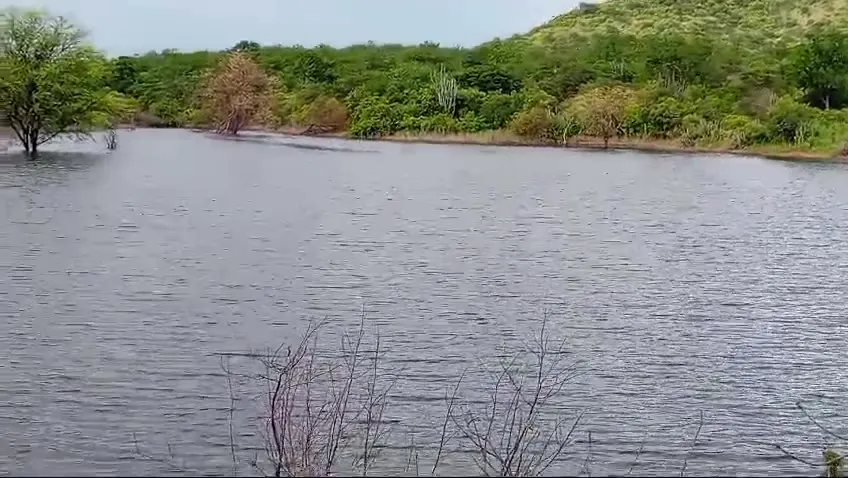 Fazenda para Arrendar de 1.000 ha em Tauá, CE, Brasil