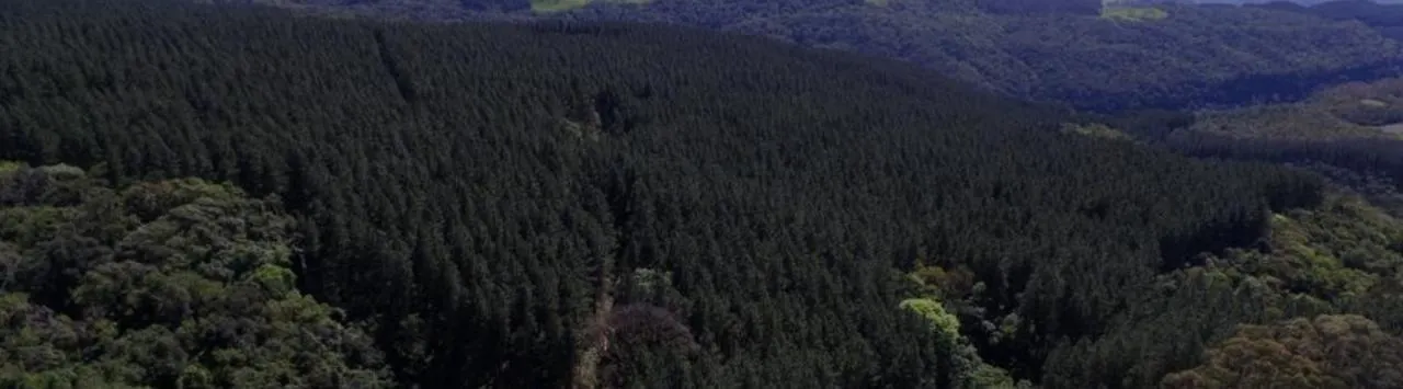 Fazenda à venda de 523 ha em Grão Pará, SC, Brasil