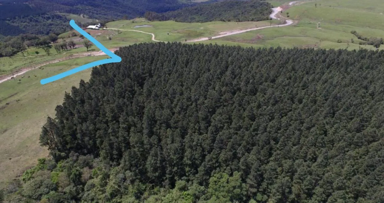 Fazenda à venda de 523 ha em Grão Pará, SC, Brasil