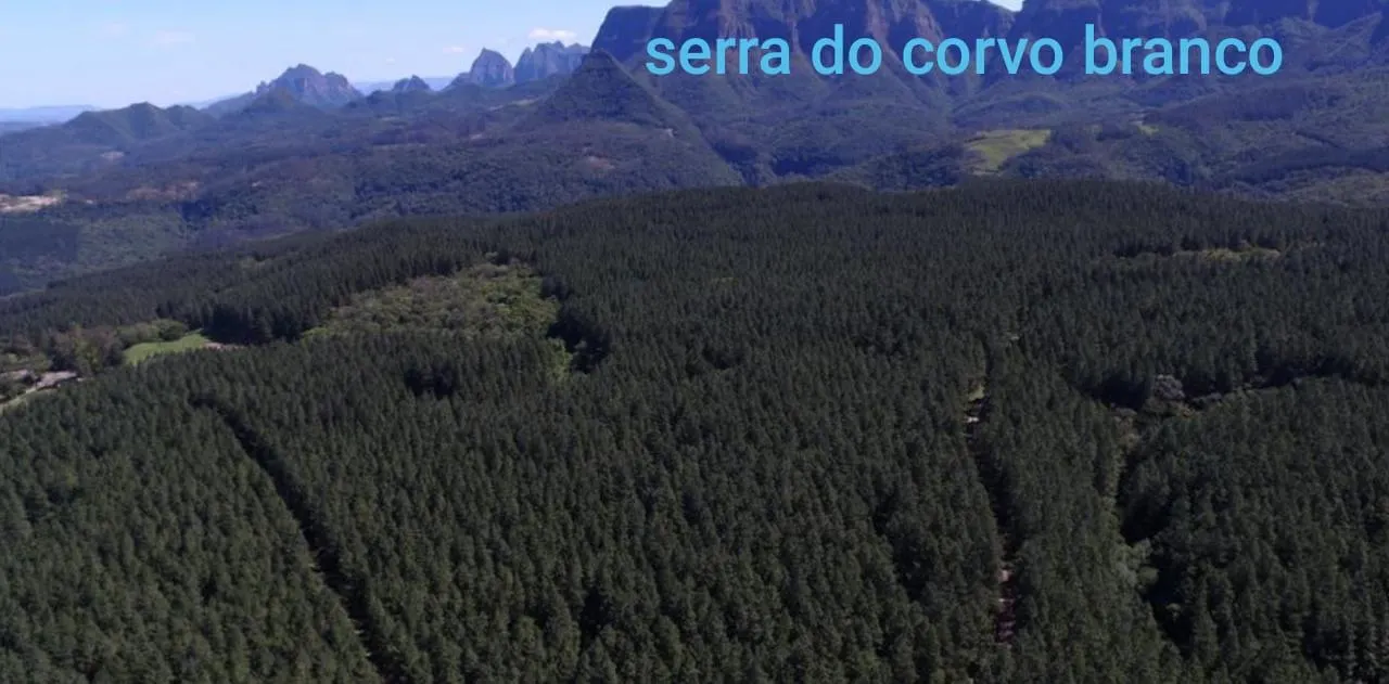 Fazenda à venda de 523 ha em Grão Pará, SC, Brasil