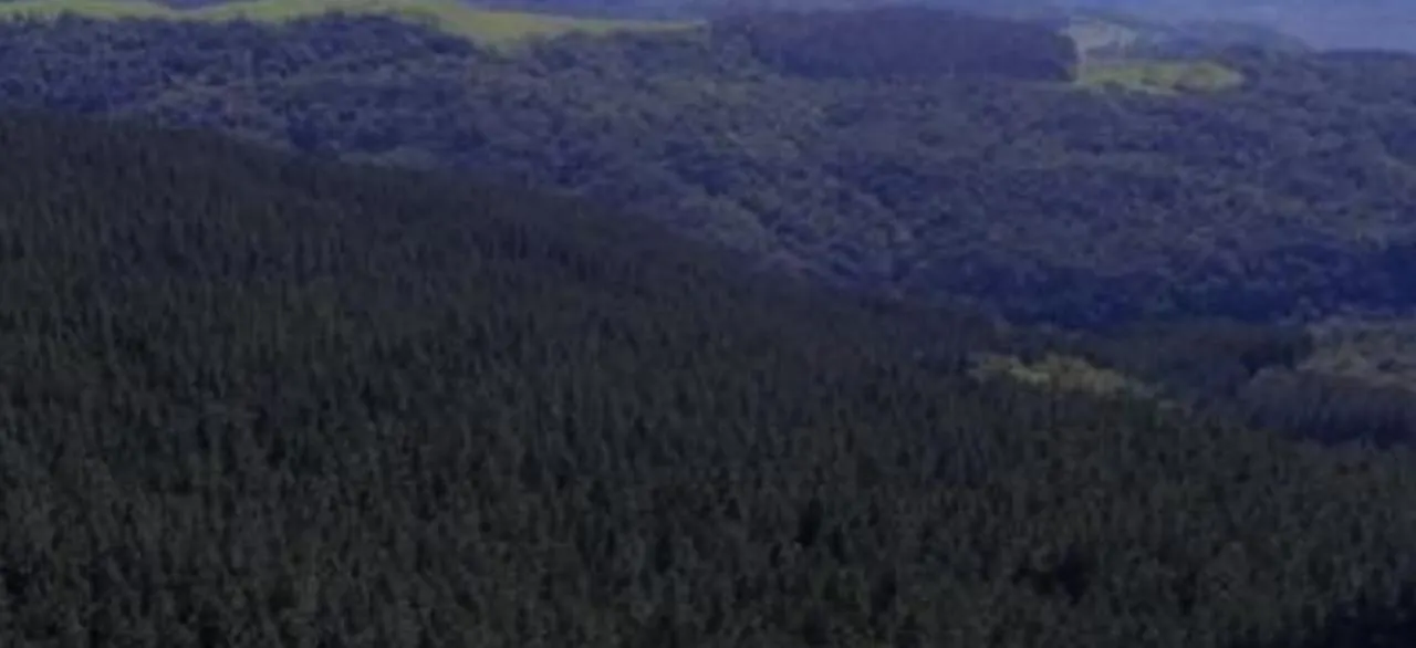 Fazenda à venda de 523 ha em Grão Pará, SC, Brasil