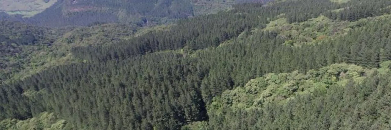 Fazenda à venda de 523 ha em Grão Pará, SC, Brasil