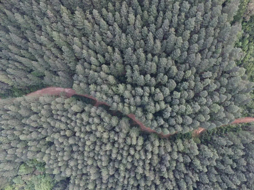 Fazenda à venda de 523 ha em Grão Pará, SC, Brasil