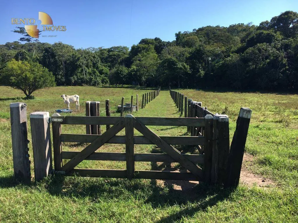 Fazenda à venda de 200 ha em Nobres, MT, Brasil