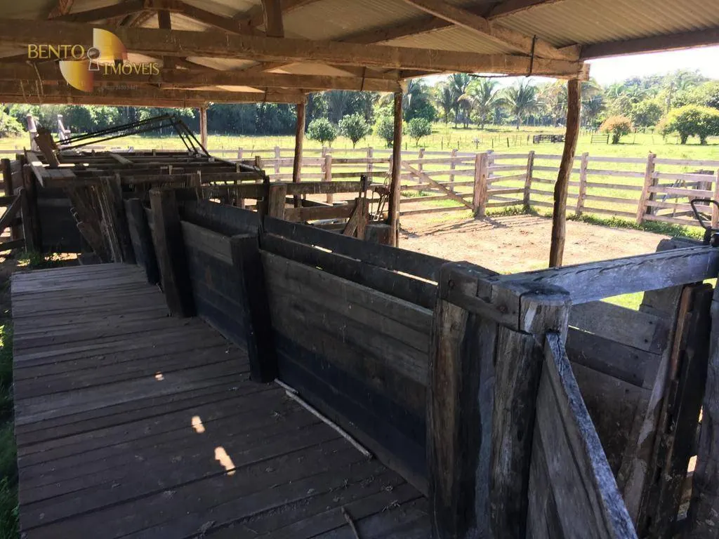 Fazenda à venda de 200 ha em Nobres, MT, Brasil
