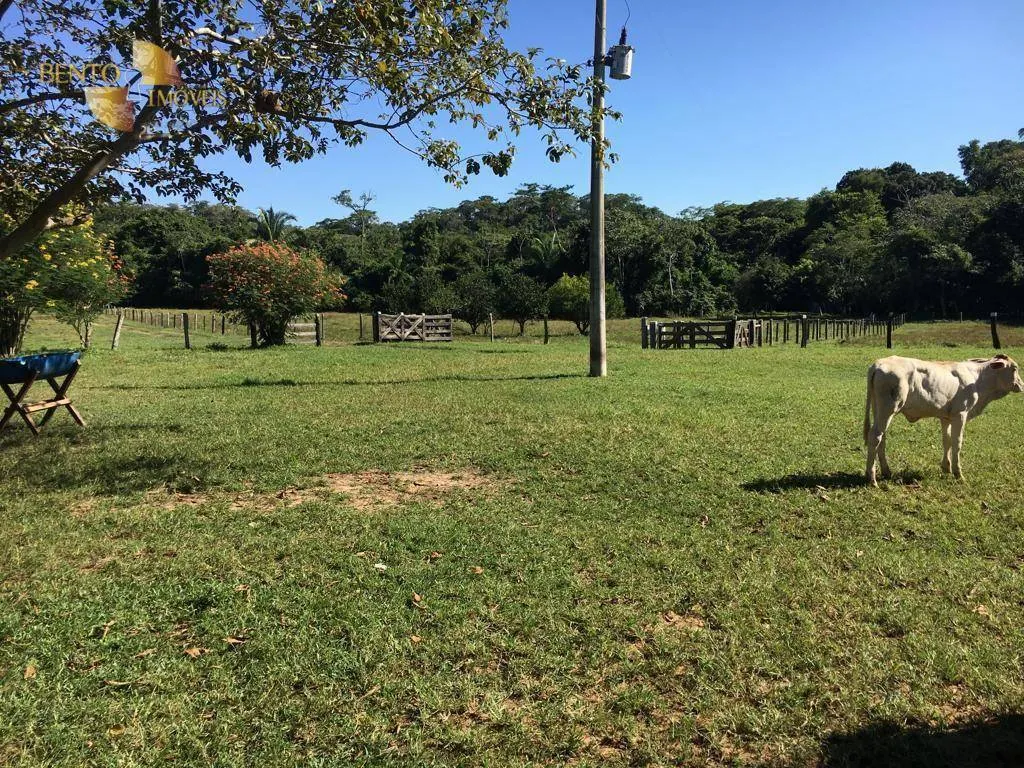 Fazenda à venda de 200 ha em Nobres, MT, Brasil