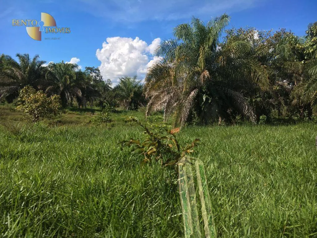 Fazenda à venda de 200 ha em Nobres, MT, Brasil