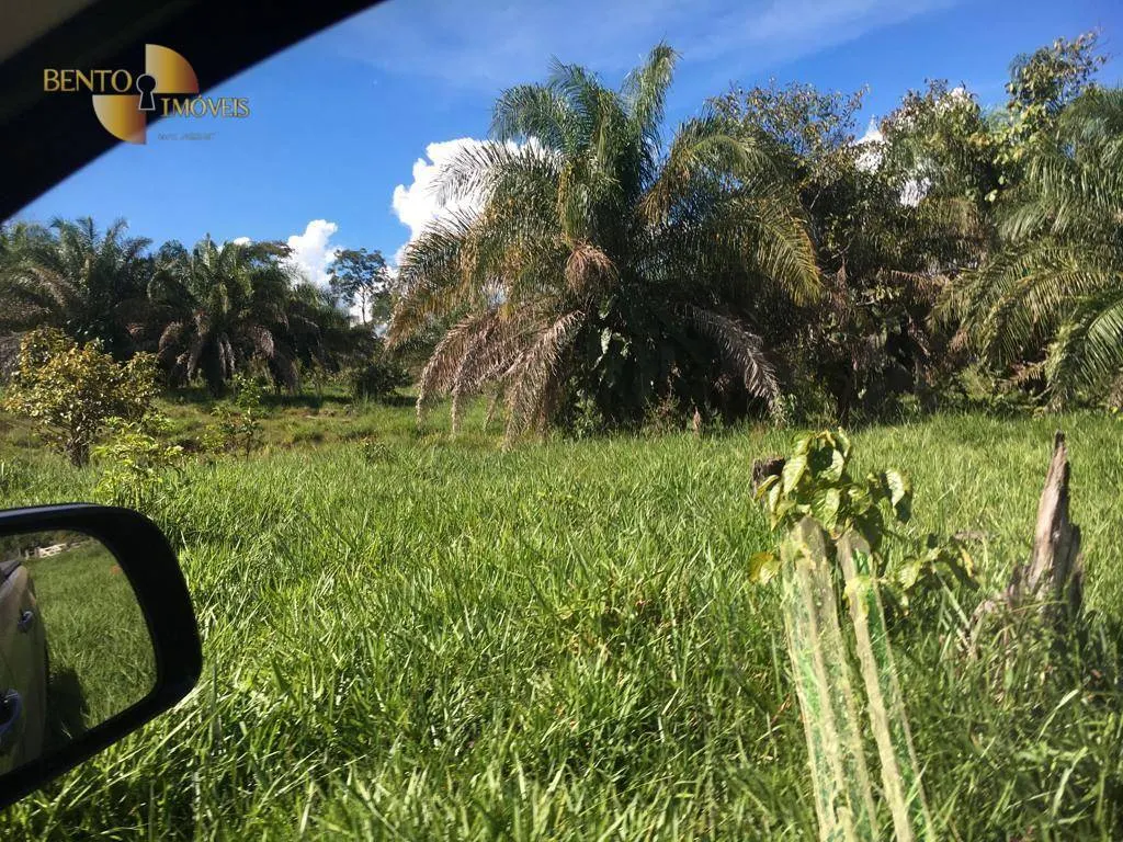 Fazenda à venda de 200 ha em Nobres, MT, Brasil