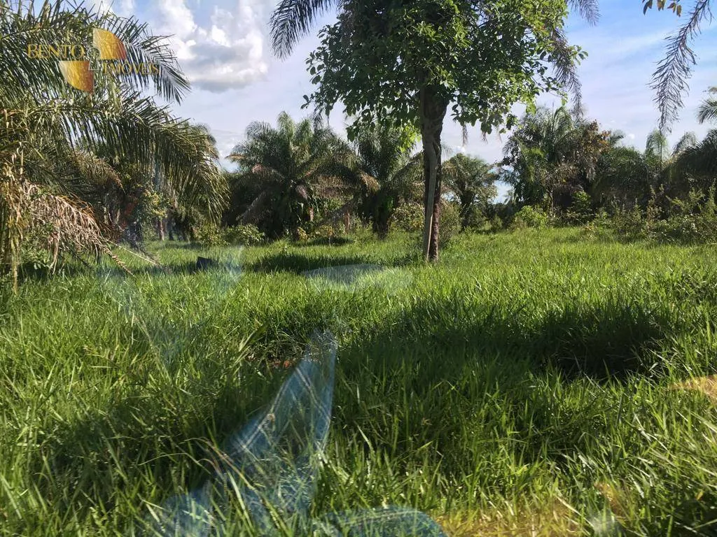 Fazenda à venda de 200 ha em Nobres, MT, Brasil