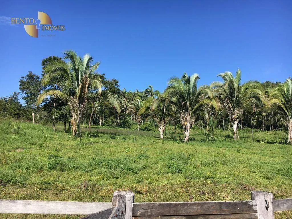 Fazenda à venda de 200 ha em Nobres, MT, Brasil