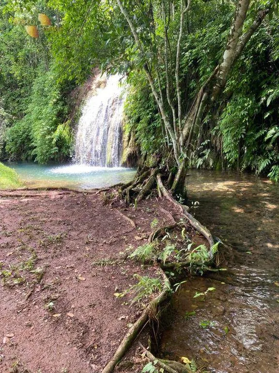 Fazenda à venda de 200 ha em Nobres, MT, Brasil