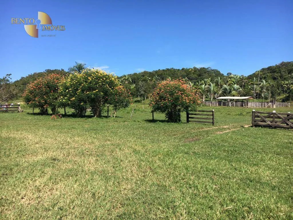 Fazenda à venda de 200 ha em Nobres, MT, Brasil