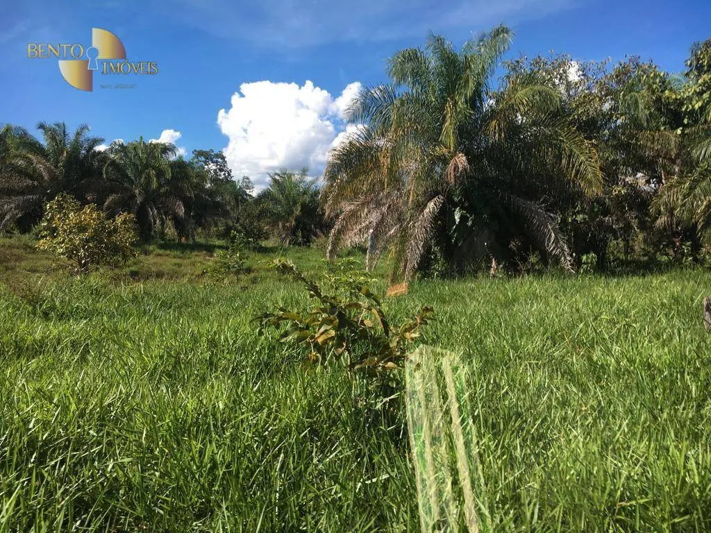 Fazenda à venda de 200 ha em Nobres, MT, Brasil