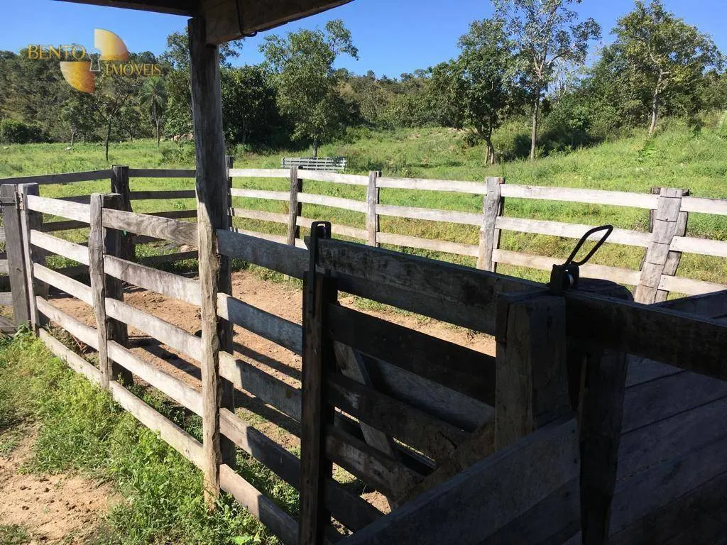 Fazenda à venda de 200 ha em Nobres, MT, Brasil