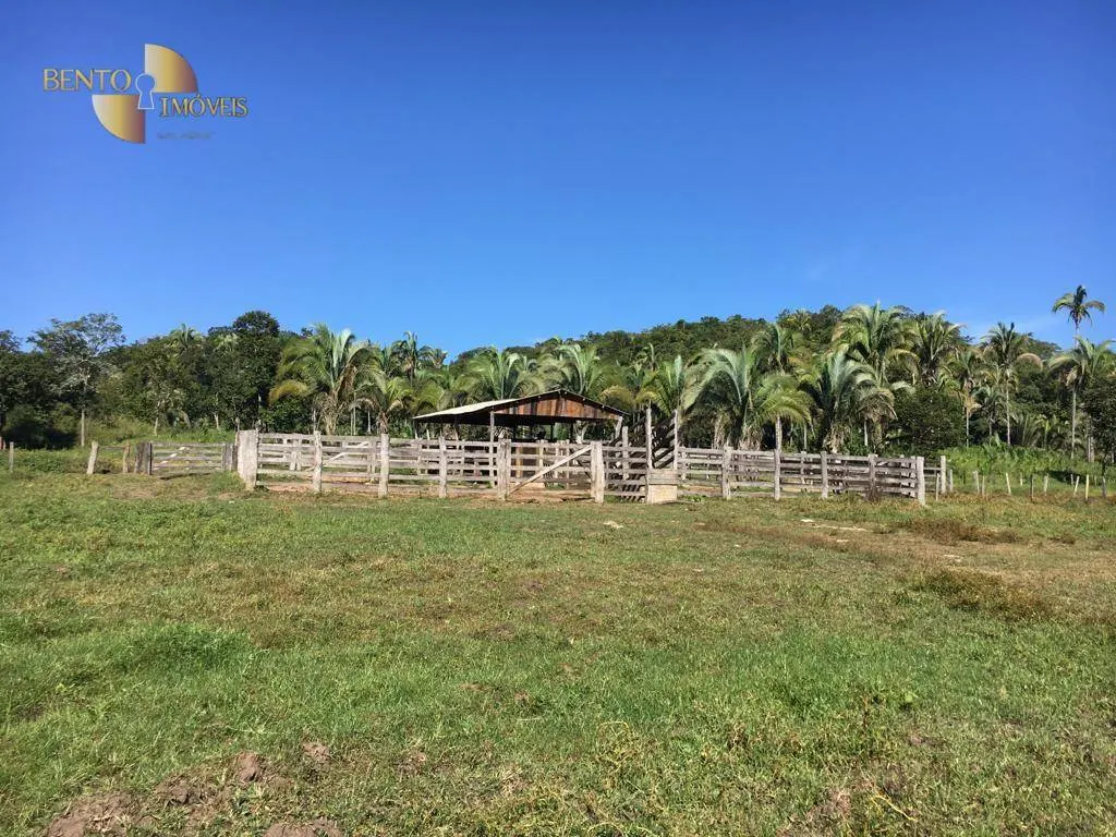 Fazenda à venda de 200 ha em Nobres, MT, Brasil