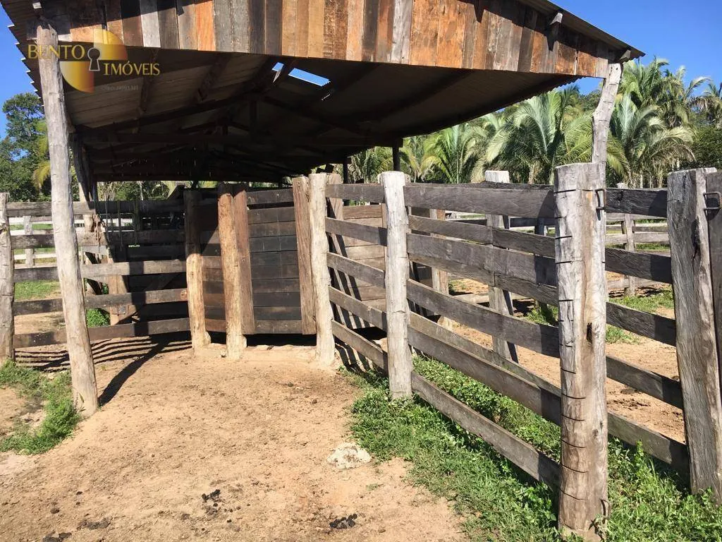 Fazenda à venda de 200 ha em Nobres, MT, Brasil