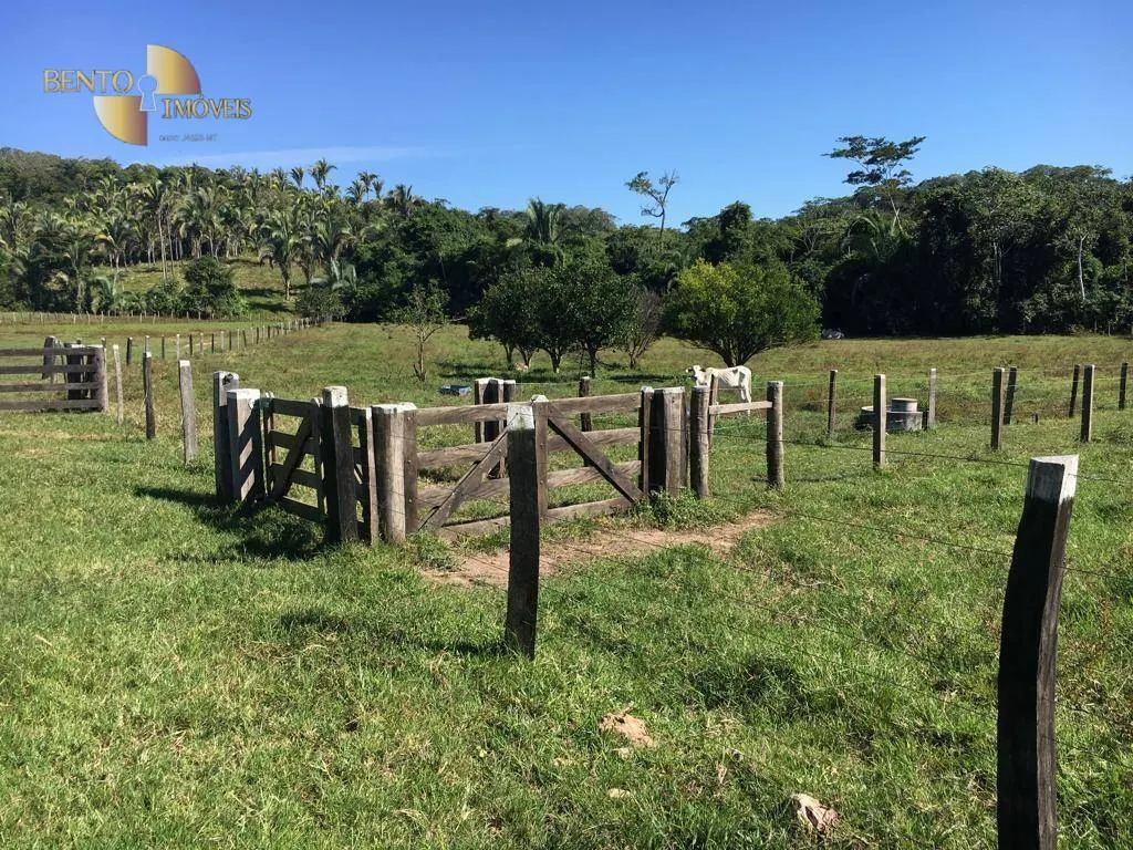 Fazenda à venda de 200 ha em Nobres, MT, Brasil