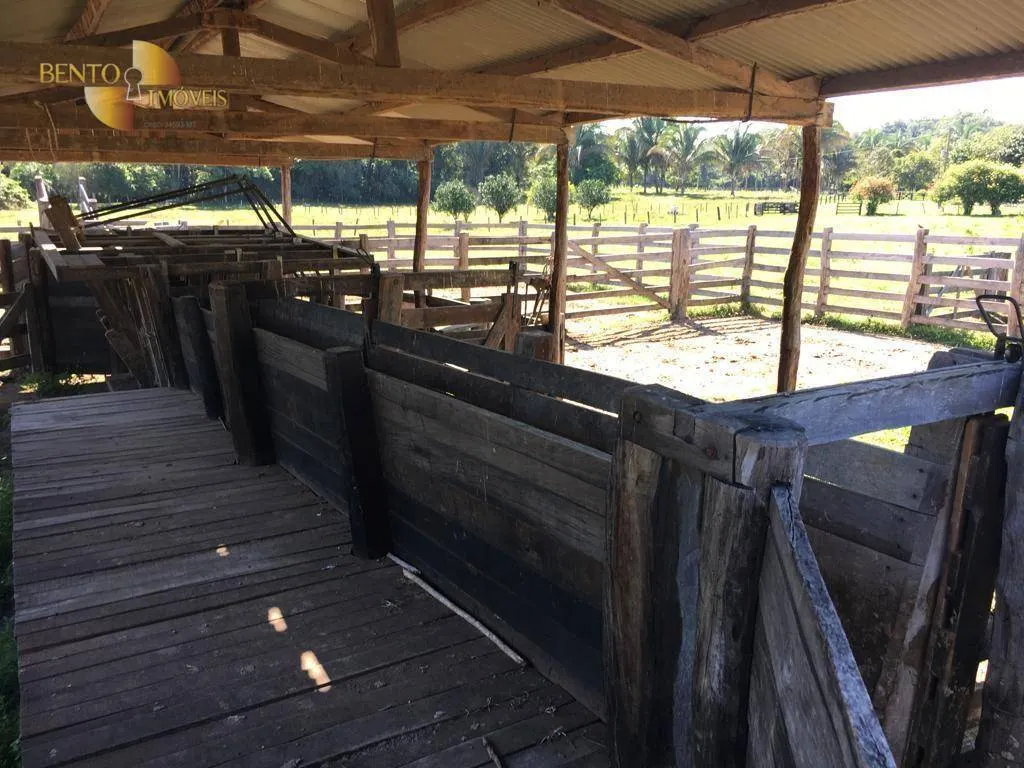 Fazenda à venda de 200 ha em Nobres, MT, Brasil