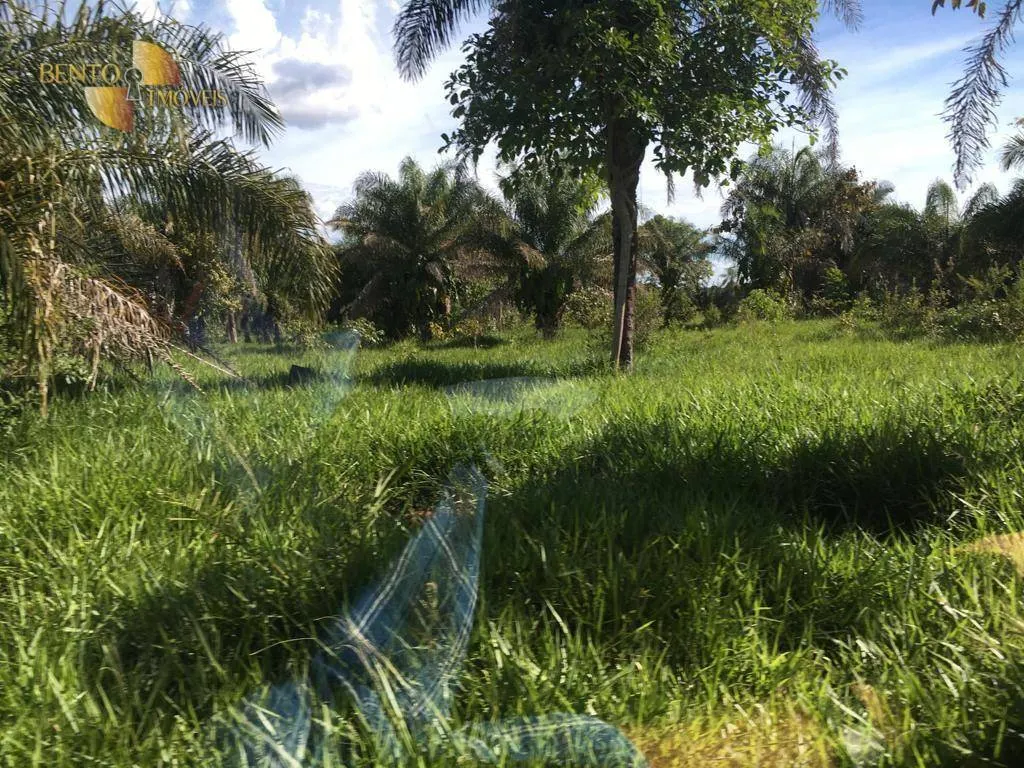 Fazenda à venda de 200 ha em Nobres, MT, Brasil