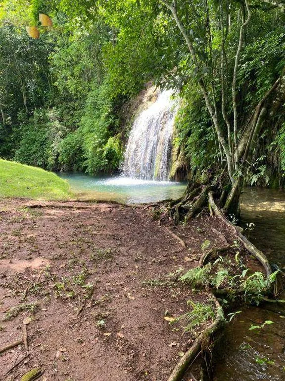 Fazenda à venda de 200 ha em Nobres, MT, Brasil