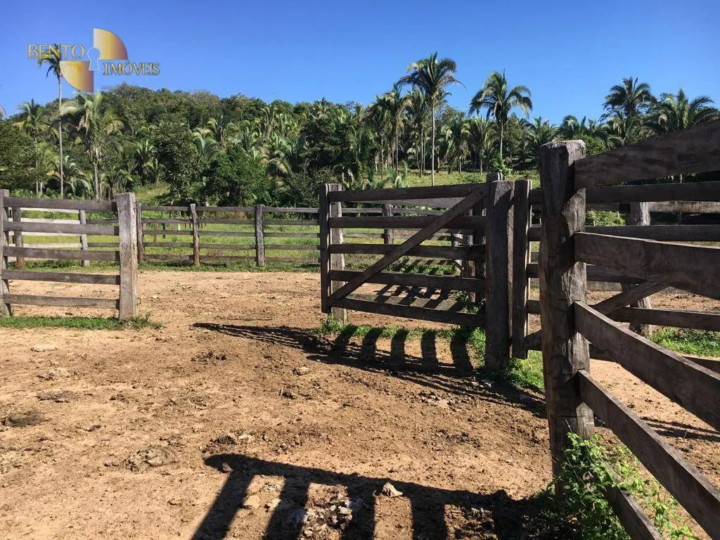 Fazenda à venda de 200 ha em Nobres, MT, Brasil