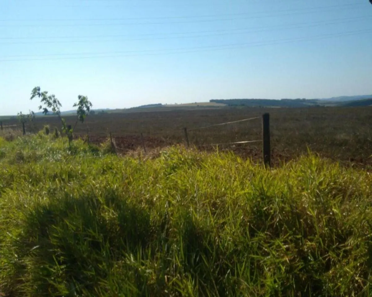 Fazenda à venda de 623 ha em Itapeva, SP, Brasil