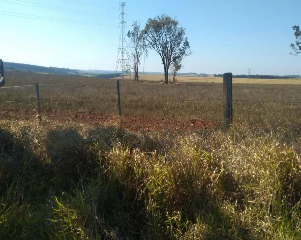 Fazenda à venda de 623 ha em Itapeva, SP, Brasil