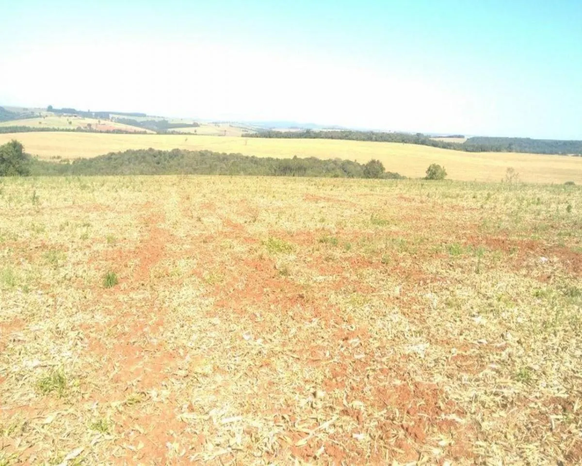 Fazenda à venda de 623 ha em Itapeva, SP, Brasil