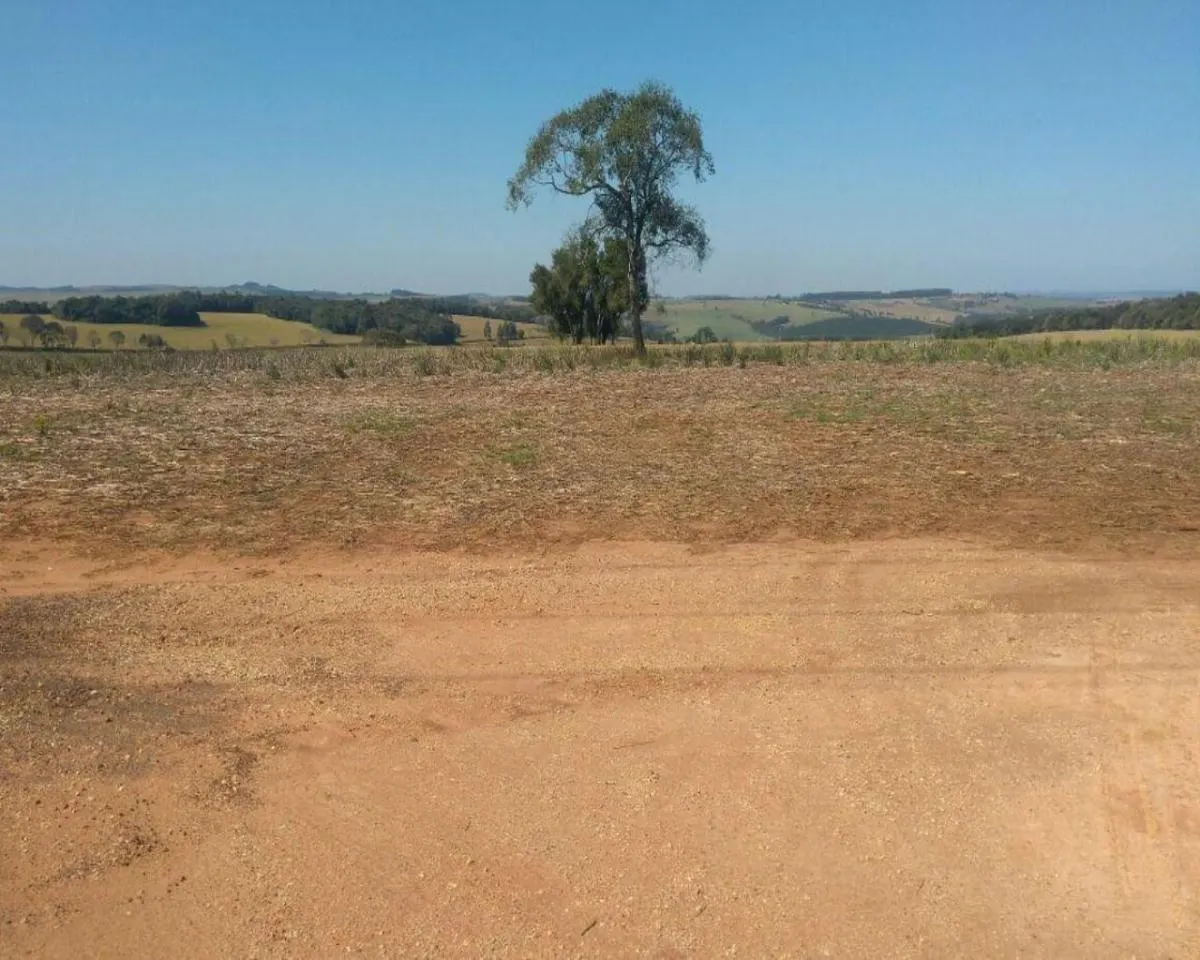 Fazenda à venda de 623 ha em Itapeva, SP, Brasil