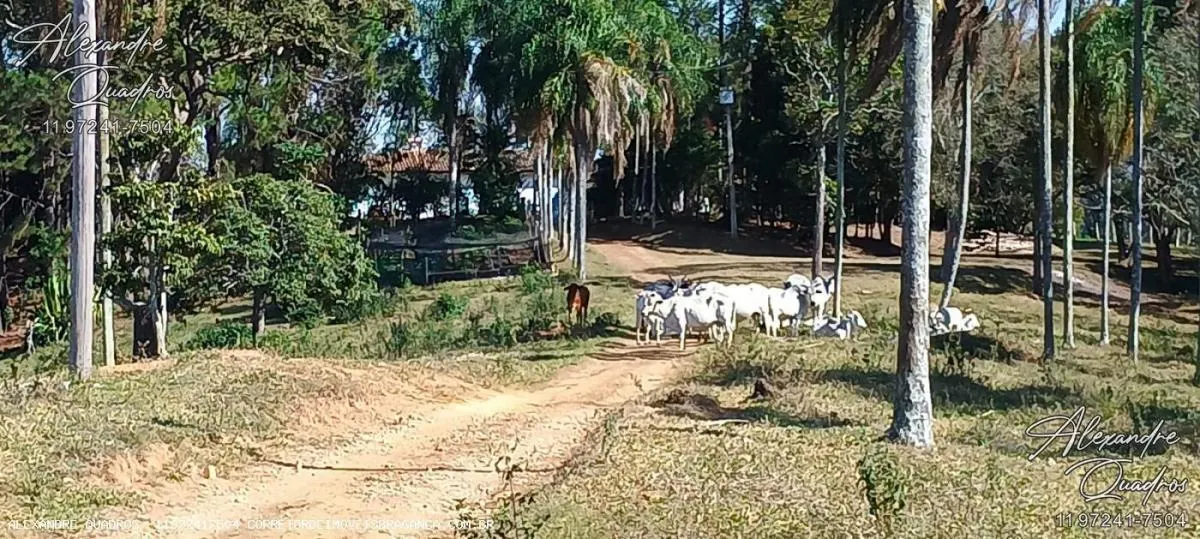 Fazenda à venda de 56 ha em Joanópolis, SP, Brasil