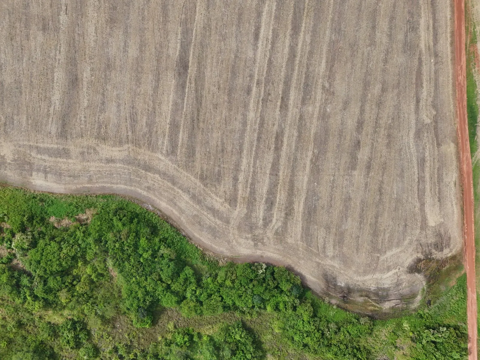 Fazenda à venda de 39.000 ha em Confresa, MT, Brasil