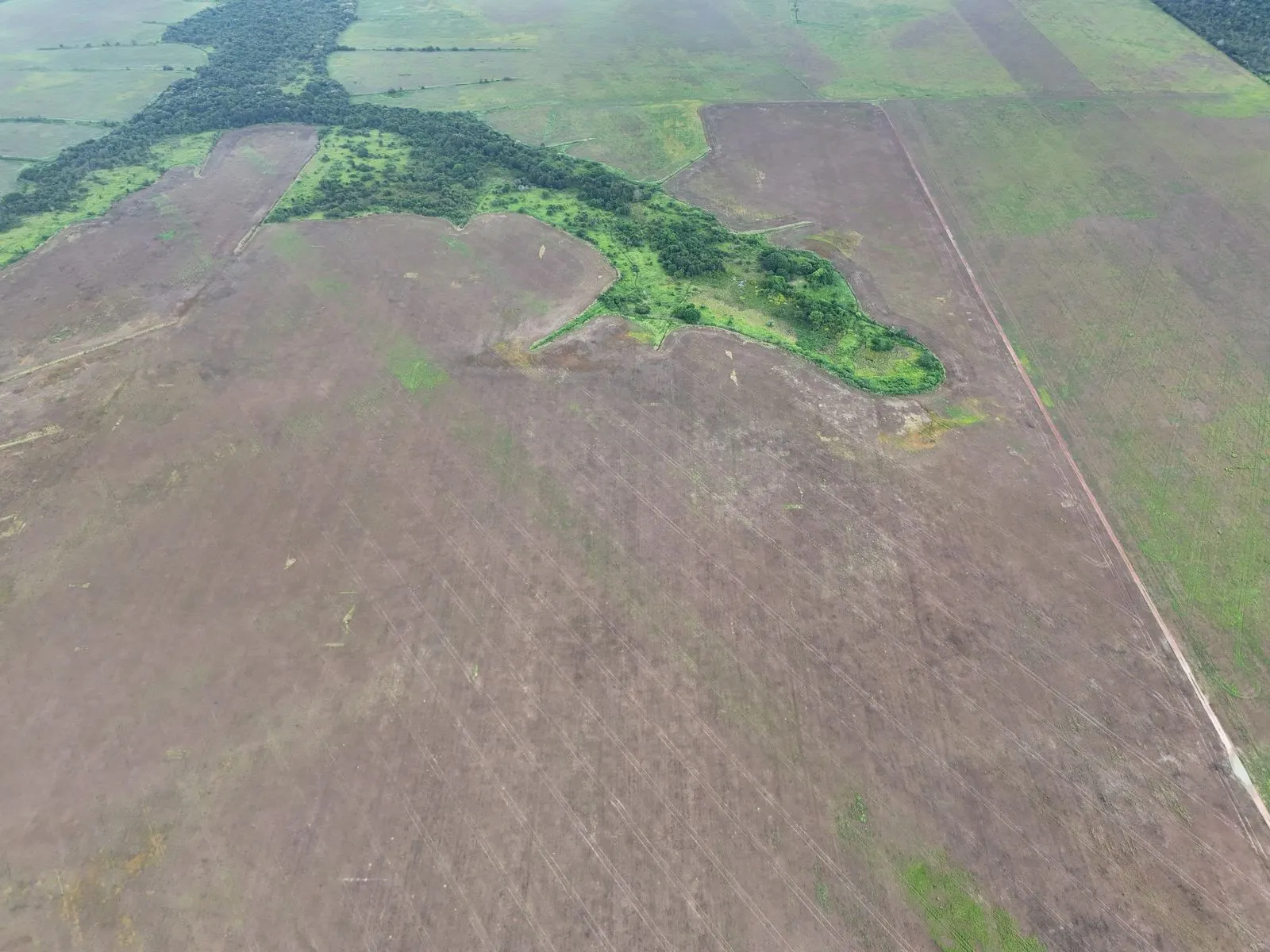 Fazenda à venda de 39.000 ha em Confresa, MT, Brasil
