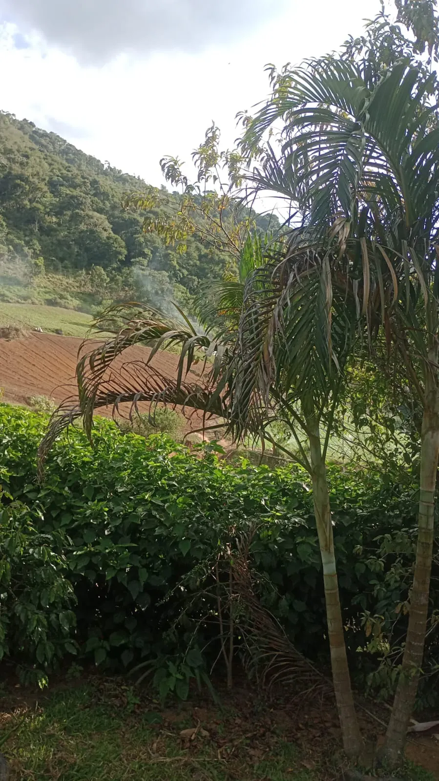 Terreno à venda de 2 ha em Nova Friburgo, RJ, Brasil