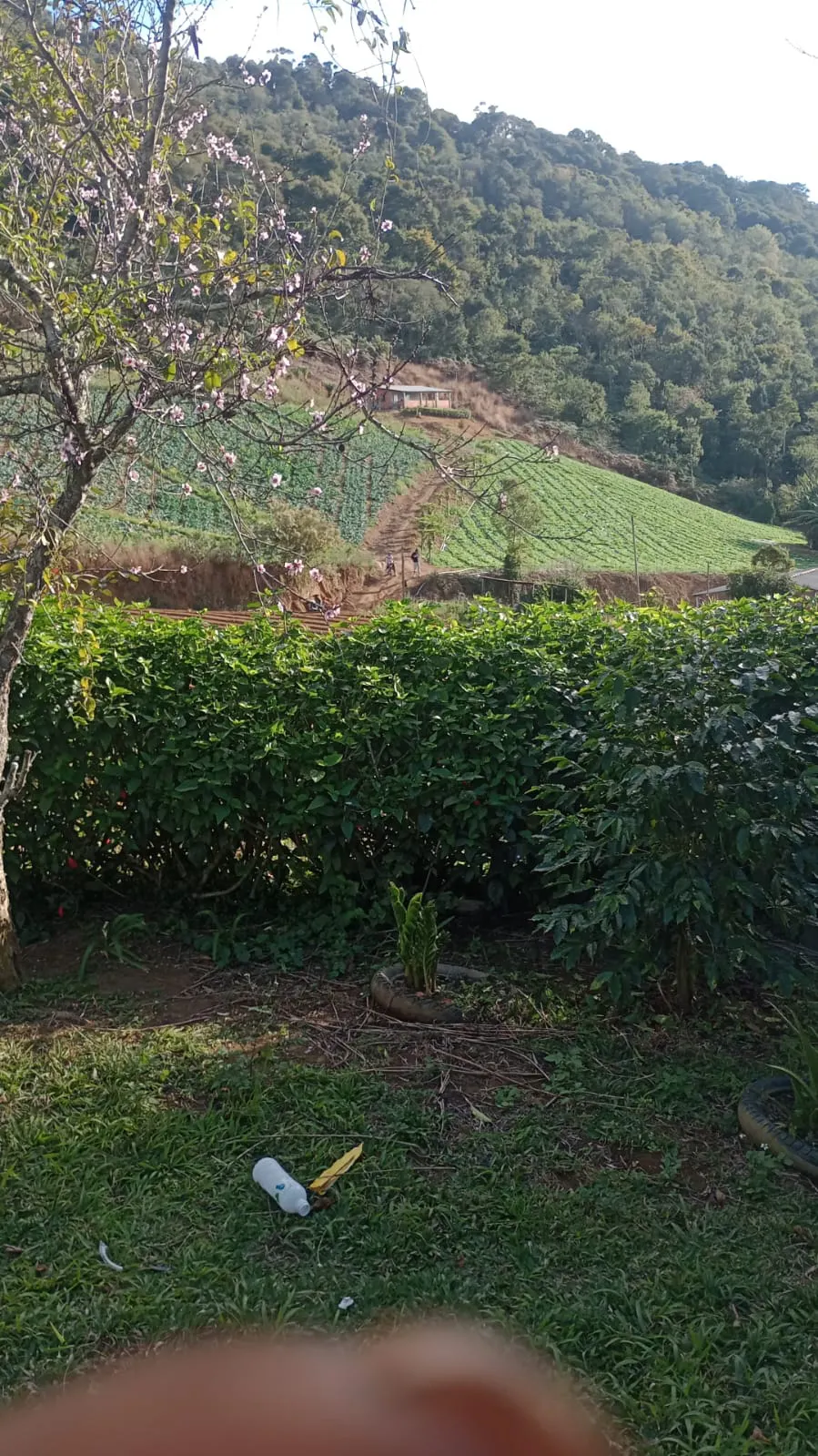 Terreno à venda de 2 ha em Nova Friburgo, RJ, Brasil