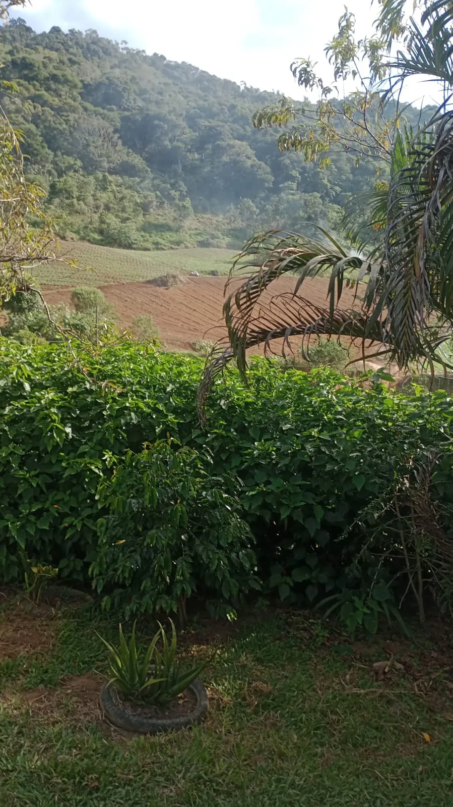Terreno à venda de 2 ha em Nova Friburgo, RJ, Brasil