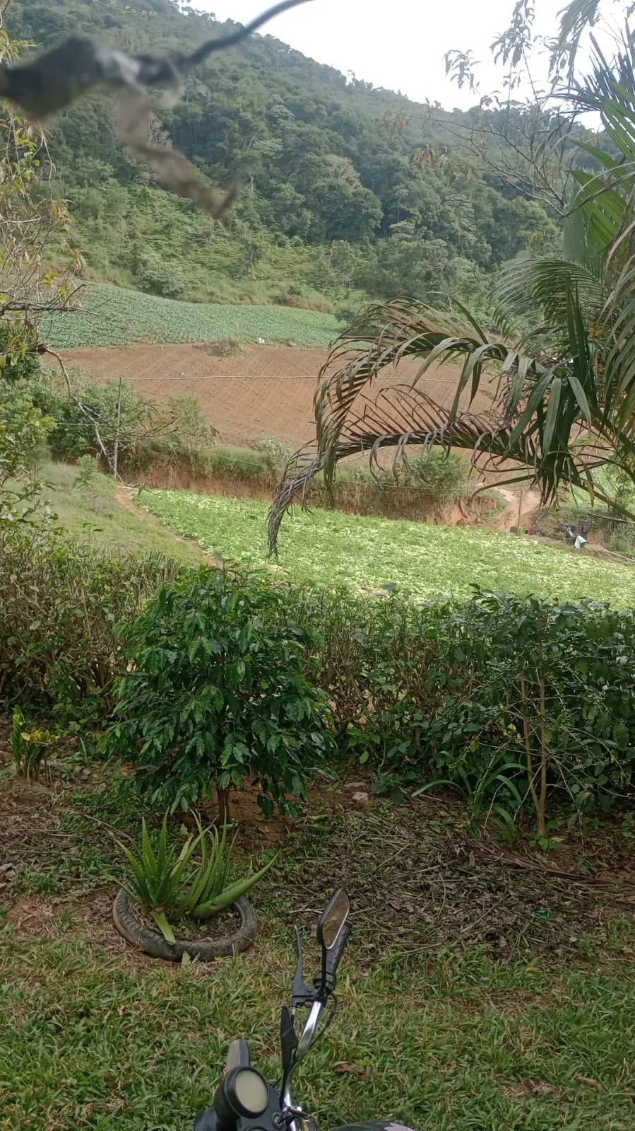 Terreno à venda de 2 ha em Nova Friburgo, RJ, Brasil