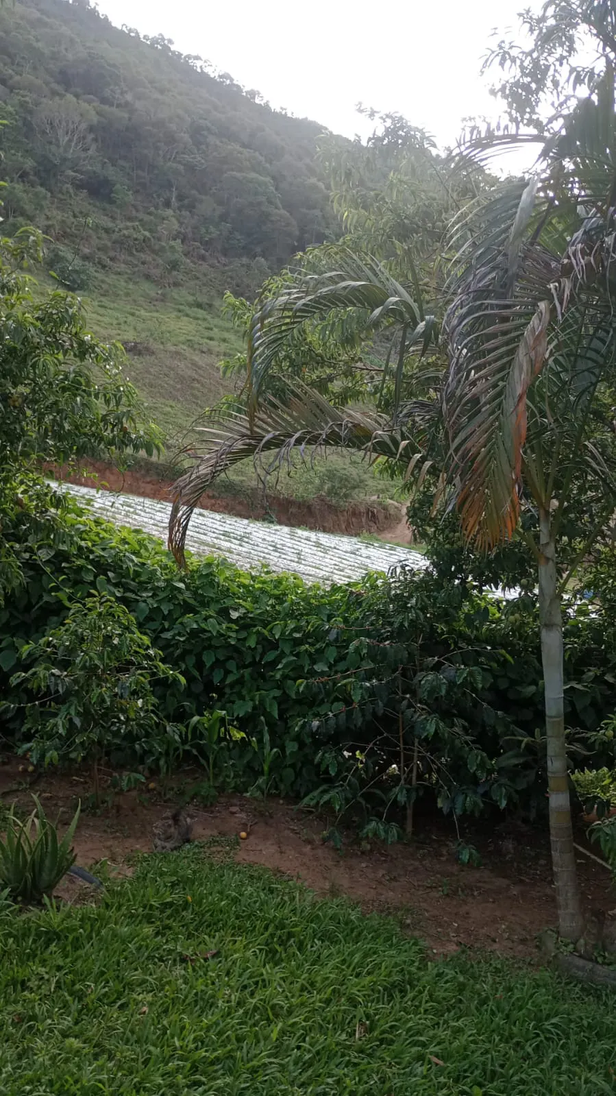 Terreno à venda de 2 ha em Nova Friburgo, RJ, Brasil