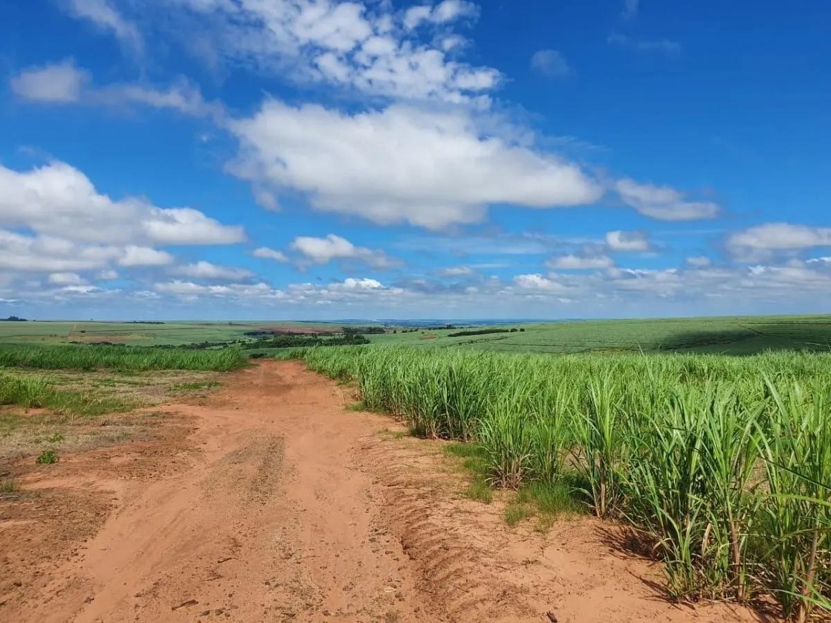 Fazenda à venda de 240 ha em Jales, SP, Brasil