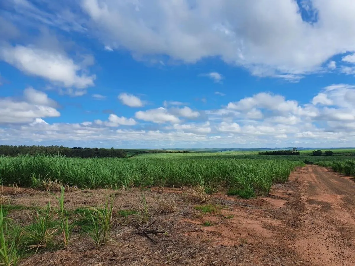 Fazenda à venda de 240 ha em Jales, SP, Brasil
