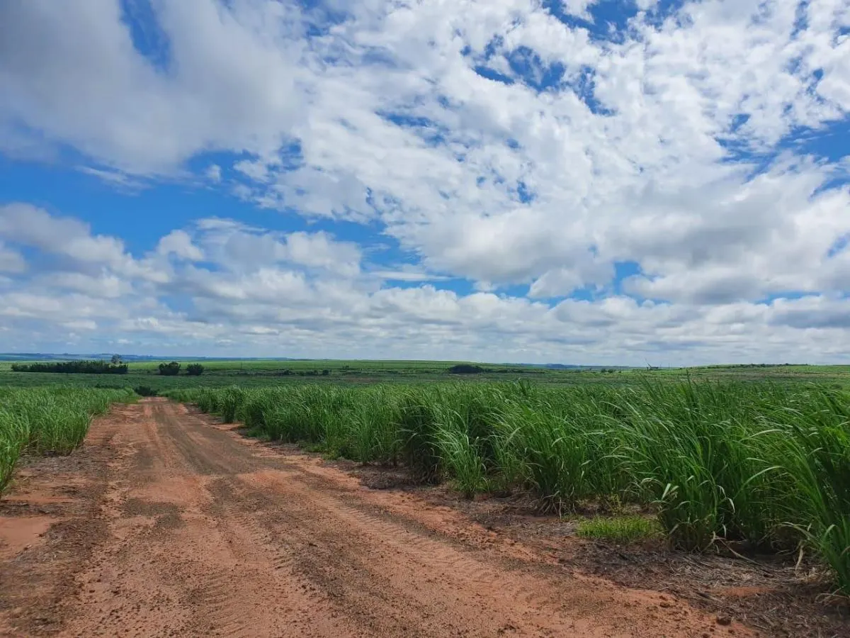 Fazenda à venda de 240 ha em Jales, SP, Brasil